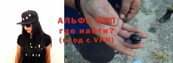 прущие грибы Елизово