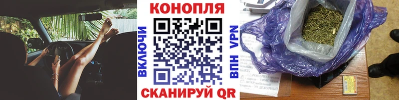 Бошки марихуана SATIVA & INDICA  Приволжск 